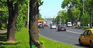 Посадка деревьев и кустарников в Богородицке — стоимость от 1282 руб.